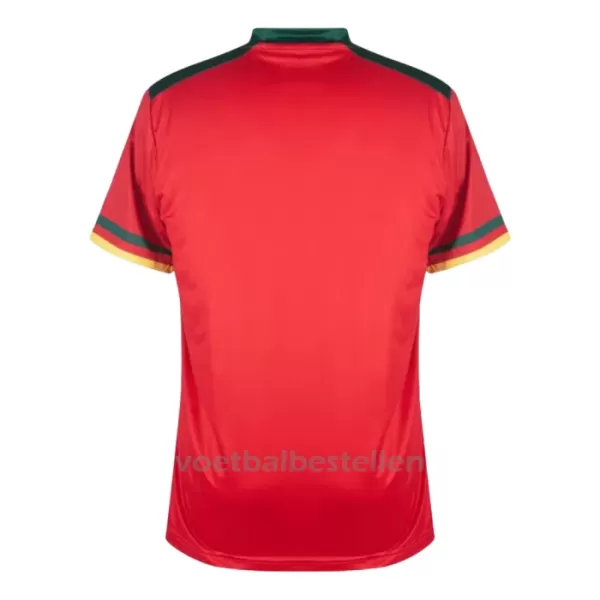 Kameroen Derde Shirt WK 2022