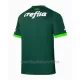 Palmeiras Thuisshirt 23/24