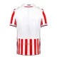 Stoke City Thuisshirt 23/24