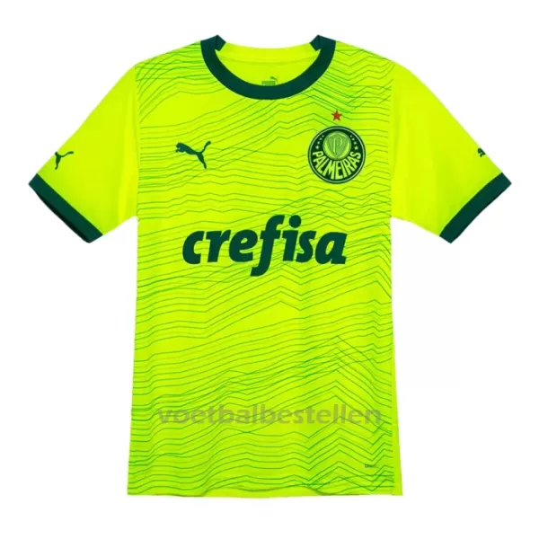 Palmeiras Derde Shirt 23/24