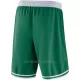 Boston Celtics Shorts Icon Edition Swingman