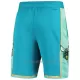 Charlotte Hornets Shorts City Edition Swingman Wintertaling