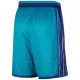 Charlotte Hornets Shorts Classic Edition Swingman Wintertaling