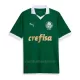 Palmeiras Thuisshirt 24/25