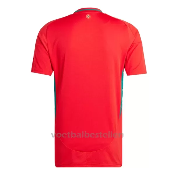 Wales Thuisshirt 2024