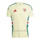 Wales Uitshirt 2024