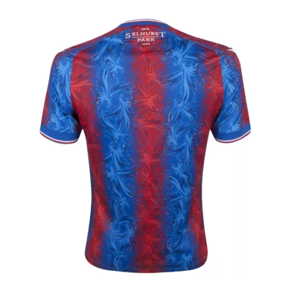 Crystal Palace Thuisshirt 24/25