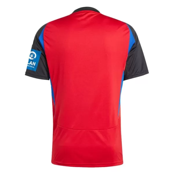 Hamburger SV Derde Shirt 24/25