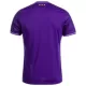 RSC Anderlecht Thuisshirt 24/25