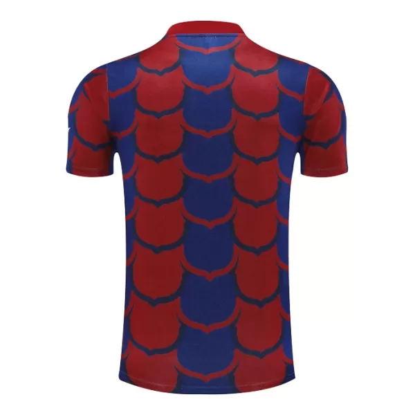 FC Barcelona Pre-Match Shirt 24/25