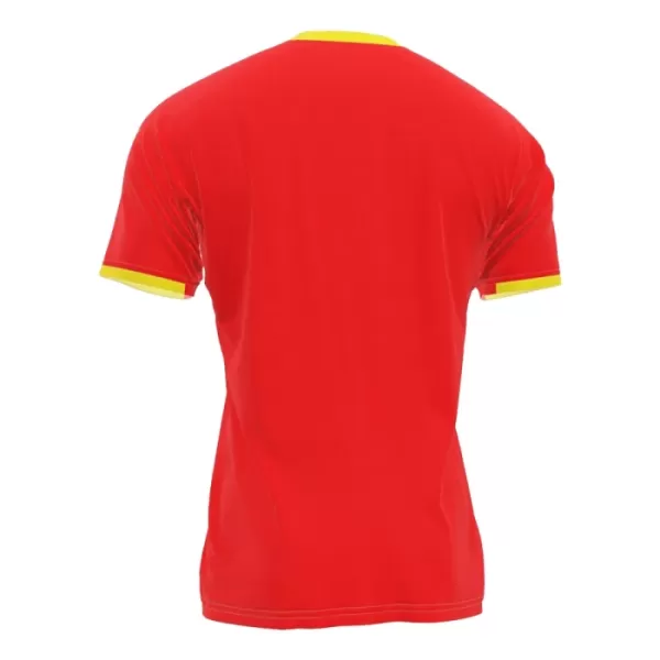 Guinea Thuisshirt 2024