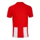 U.D. Almeria Thuisshirt 24/25