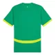 Senegal Uitshirt 24/25